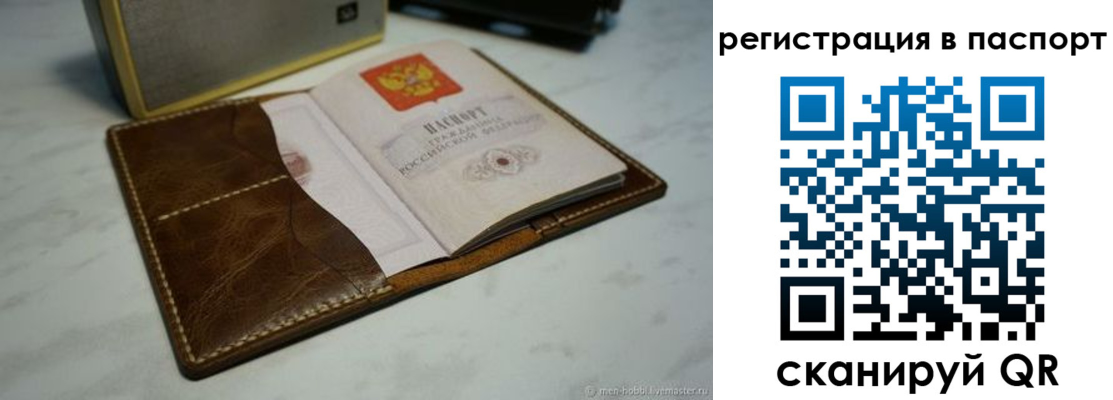 прописка гарантия в Апатитах