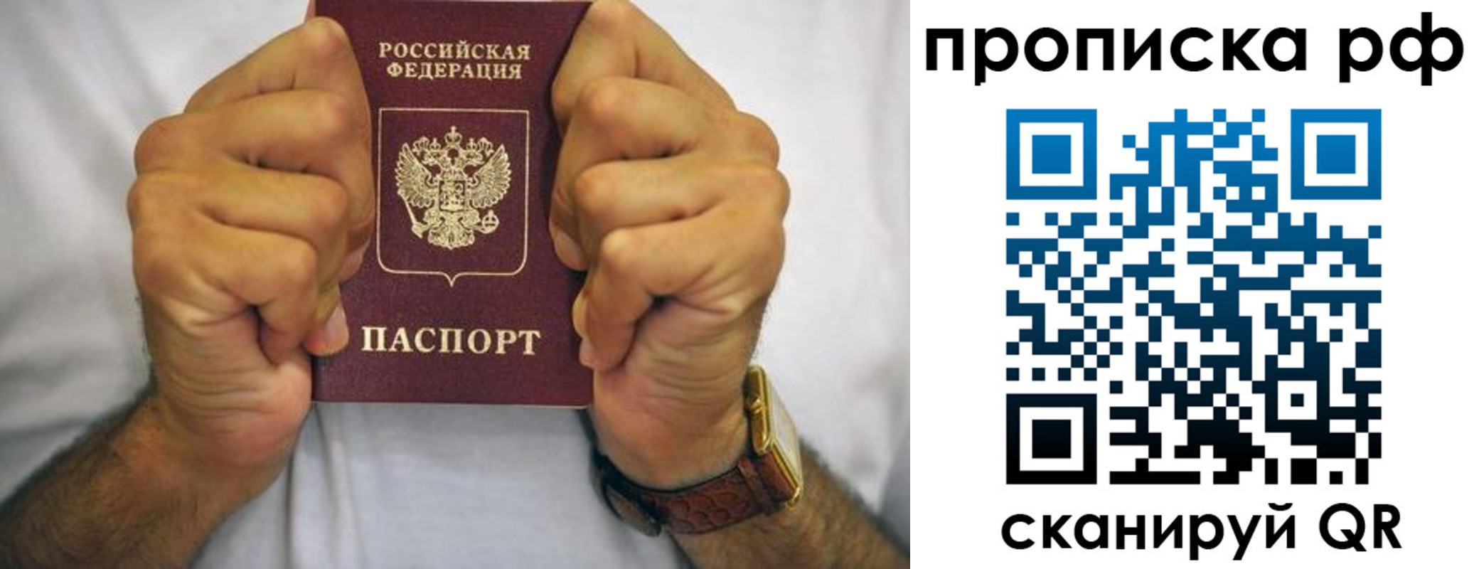 прописка регистрация в Апатитах
